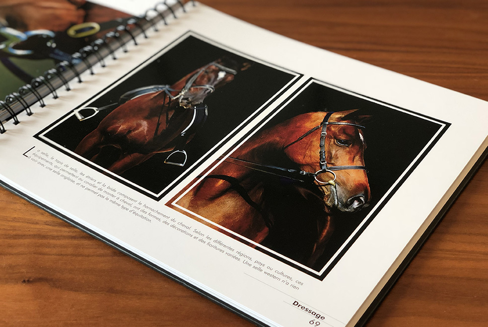 Livre chevalet sur les chevaux, photographie d'art et textes explicatifs.